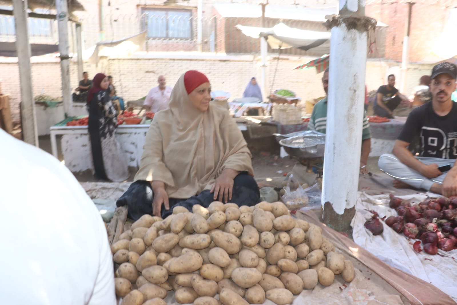 محافظ القليوبية5